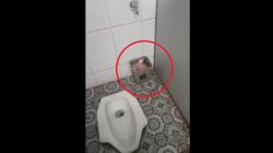 Kasus Bayi Dibuang di Toilet Pabrik Majalengka, PT SLI: Ayahnya Bukan Karyawan Kami<