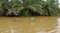 2 Jembatan di Aceh Tamiang Nyaris Ambles Usai Diterjang Banjir