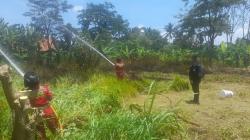 Lahan Kebun di Kuningan Terbakar Hebat dan Nyaris Merembet ke Bangunan Sekolah