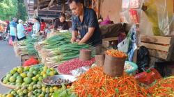 Contoh Kalimat Komoditas dalam Kehidupan Sehari-hari