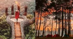 Yuk Intip Keindahan Hutan Pinus Pengger di Bantul, Wajib Dikunjungi saat Liburan ke Yogya!