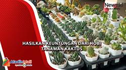 Hasilkan Keuntungan dari Hobi Tanaman Kaktus