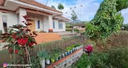 Kampung Belanda di Kaki Gunung Cikuray Garut, Mayoritas Warganya Bermata Biru