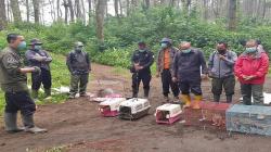 TNGC Kedatangan 7 Satwa Baru, Dilepasliarkan di Wilayah Majalengka