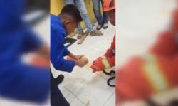 Bikin Panik, 2 Ular Kobra Keluar dari Paket di Kantor Jasa Pengiriman