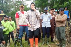 Atasi Kawasan Rawan Terisolir Akibat Banjir, Mensos Dirikan 4 Lumbung Sosial di Trenggalek