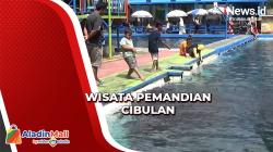 Ratusan Ikan Dewa di Pemandian Cibulan Mati, Turis Tetap Ramai