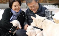 Mantan Presiden Korsel Bakal Serahkan 2 Anjing Hadiah Kim Jong Un terkait Biaya Perawatan 