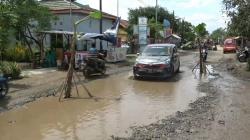 Protes Jalan Rusak Tak Kunjung Diperbaiki, Warga Siwuluh Brebes Tanami Pohon Pisang