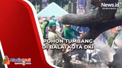 Hujan Deras dan Angin Kencang Tumbangkan Pohon di Balai Kota DKI Jakarta