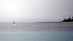 Ada Apa di Pulau Buru ? Intip 5 Objek Wisata yang Masih Terjaga Keasliannya