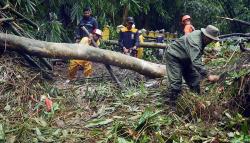 Jalur Wisata Anyer Ditutup akibat Longsor di Sejumlah Titik
