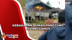 Warga Berjibaku Padamkan Kebakaran Rumah Panggung di Tanggamus