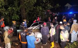 2 Minibus Tertimpa Pohon Tumbang di Tahura R Surya Mojokerto, 1 Tewas 2 Luka Berat 