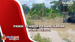 Tembok Penangkaran Buaya di Sumut Jebol akibat Banjir, Warga Panik