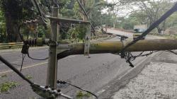 Dampak Gempa Cianjur, Ribuan Gardu Listrik Rusak, Warga Terpaksa Gunakan Lilin