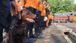 Basarnas Semarang Kirim Tim Medis hingga Anjing Pelacak Bantu Penanganan Gempa Cianjur