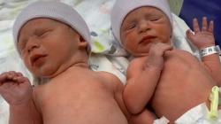 Pecahkan Rekor, Bayi Kembar Ini Lahir dari Embrio yang Dibekukan 30 Tahun dan Tertua di Dunia