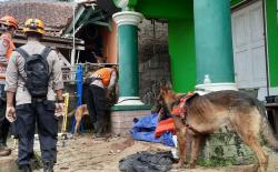 Petugas Fokus Cari Korban Hilang Longsor Gempa Cianjur di Titik Terendus Anjing Pelacak