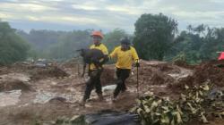 Viral Anjing Coco Anggota SAR yang Ikut Evakuasi Pencarian Korban Gempa Cianjur, Ini Kisahnya