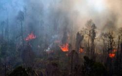 10 Titik Panas Terdeteksi di Kaltim, Ini Sebaran Wilayahnya<