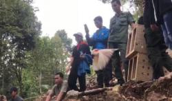 20 Satwa Endemik Dilepasliarkan di Maluku, Kakaktua hingga Sanca Kembang Kembali ke Alam