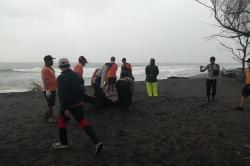Geger Penemuan Mayat di Pantai Goa Cemara, Penyebab Kematian Masih Misterius