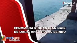 Ribuan Ikan Laut Naik ke Daratan di Kepulauan Seribu, BMKG: Ini Bukan Tanda Gempa