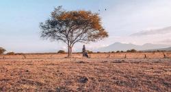 Taman Nasional Tertua di Indonesia, Surganya Flora dan Fauna Ada yang Mirip Afrika 