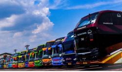 5 PO Bus Miliki Layanan Kelas Sultan, Dilengkapi Kamar Tidur dan Kursi Pijat seperti Hotel Berjalan