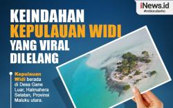 Infografis Keindahan Kepulauan Widi yang Viral Dilelang