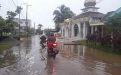 Hujan Lebat Semalaman, Pohon Tumbang dan Banjir Melanda Palembang <