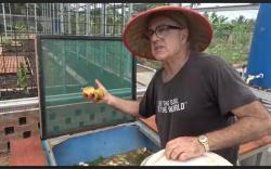 Kisah Bule Asal Australia Mengolah Sampah Jadi Kompos dengan Cepat Tanpa Bau di Palembang<