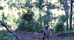 Kisah Pilu Guru Honorer Dibayar Rp100.000 Per Bulan, Keluar Masuk Hutan demi Mengajar