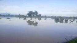 Petani Jatitujuh Majalengka Memprihatinkan, saat Akan Tanam Sawah Kebanjiran<