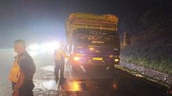 Ditabrak saat Ganti Ban di Tol Cipali, Sopir Tronton Tewas dan Kernet Luka Berat<