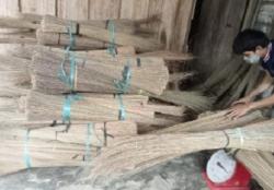 26 Ton Produk Lidi Asal Banten Diekspor ke India