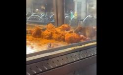 Video Viral Tikus Makan Ayam Goreng di Etalase, Kedai Makanan Langsung Ditutup