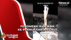 Fenomena Ikan Naik ke Permukaan Air Laut, Begini Penjelasan BMKG