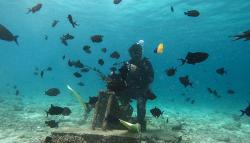 6 Artis Hobi Diving, Nomor 2 Sering Bareng Suami<