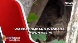 Warga Jombang Resah dengan Kemunculan Tawon Vespa