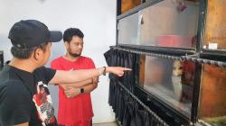 Banyak Orang Tewas Dipatuk Ular Kobra, Dedi Mulyadi Sambangi Rumah Panji Petualang