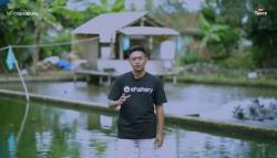 Jadi Korban PHK, Pria Ini Sukses Budi Daya Ikan Nila