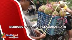 Sensasi Menyantap dan Melihat Langung Durian Dipetik dari Kebun di Pelabuhanratu