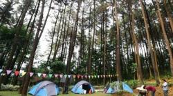 5 Tempat Wisata di Sentul yang Lagi Viral, Cocok untuk Liburan Akhir Tahun Bareng Keluarga!<