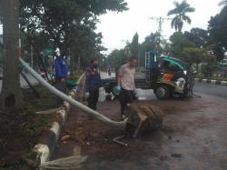 Waduh, Mobil Ini Tabrak Tiang Rambu gegara Hindari Pemotor di Cibinong