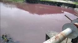 Warga Pasuruan Geger, Sungai Wrati Berwarna Merah dan Berbau Anyir Darah