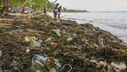 Pesisir Kawasan Wisata Nongsa Batam Dipenuhi Sampah