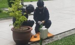 Heboh, Granat Nanas Ditemukan di Taman Balai Kota Surabaya 