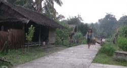 Kampung Unik di Mentawai, Ada Desa yang Asri dan Warga Hidup secara Tradisional
